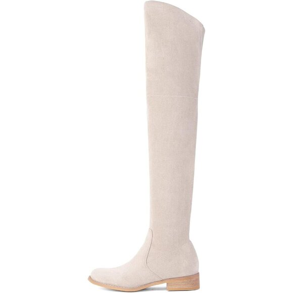 Women Beige Faux Suede Over The Knee Thigh High Low Block Heel Pointed Toe Boot - Picture 2 of 6